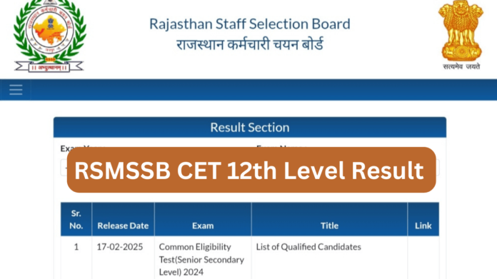 RSMSSB CET 12th Level Result 2024-2025