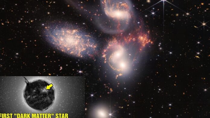 Dark Matter Star