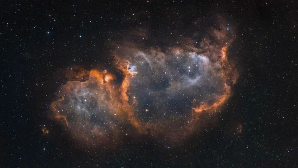 Dark Matter Star